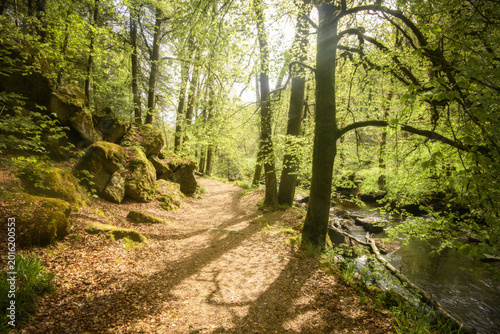 Bild auf Leinwand foret de Huelgoat en Bretagne dans le Finistere, chemin au bord de la riviere d'argent près de la mare aux fées