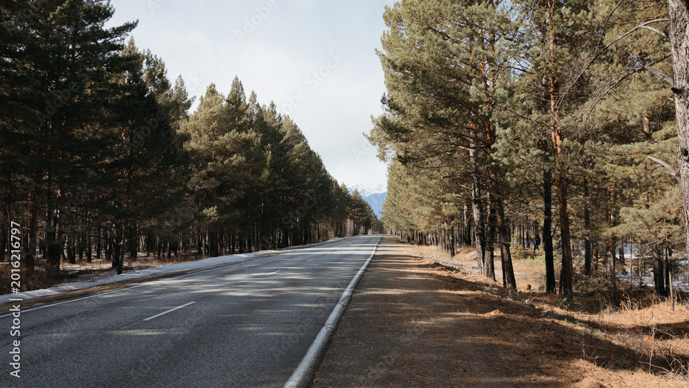 Obraz premium Straight asphalt road running through a pine forest with patches of snow and distant mountains on the horizon near Arshan, Republic of Buryatia, Russia