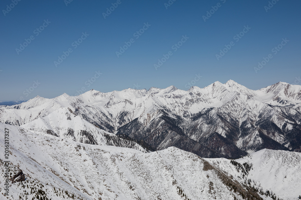 Obraz premium Wide panoramic view of snow covered mountain ridges and valleys under clear blue sky, photographed from Peak Galina near Arshan, Buryatia, Russia in winter daylight