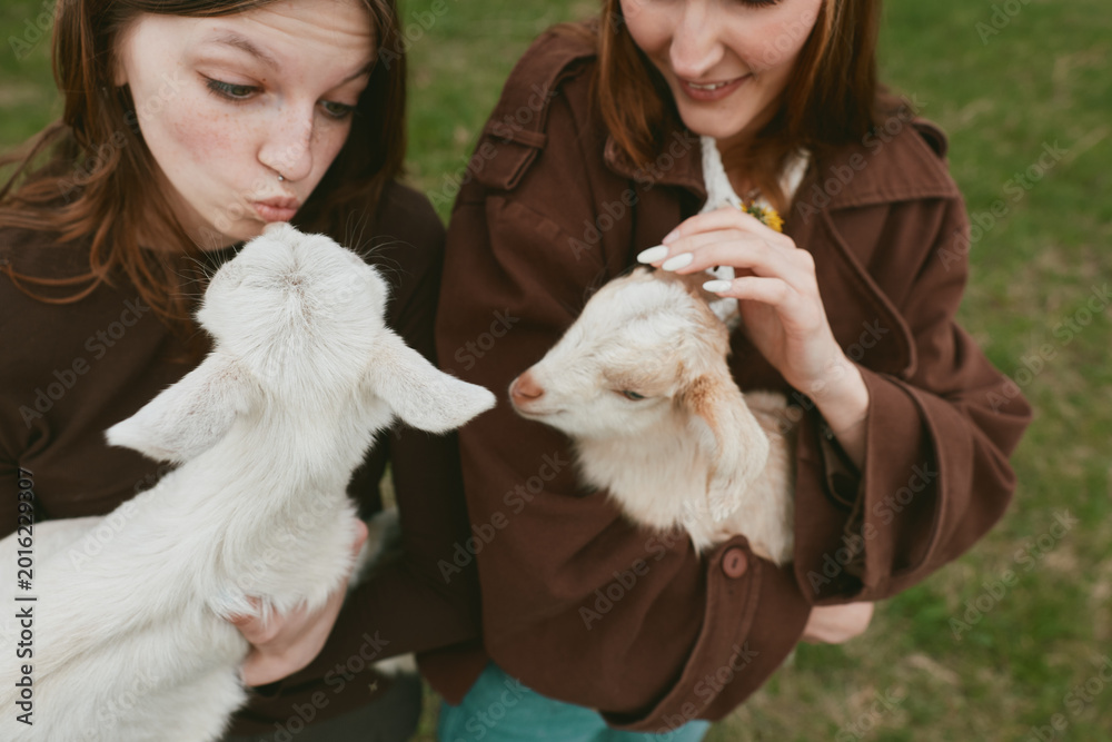 Naklejka premium Two young women interact with playful kid goats outdoors, sharing a gentle moment in a rural, sunlit pasture setting. A candid lifestyle scene highlighting bonding with animals and simple joy.