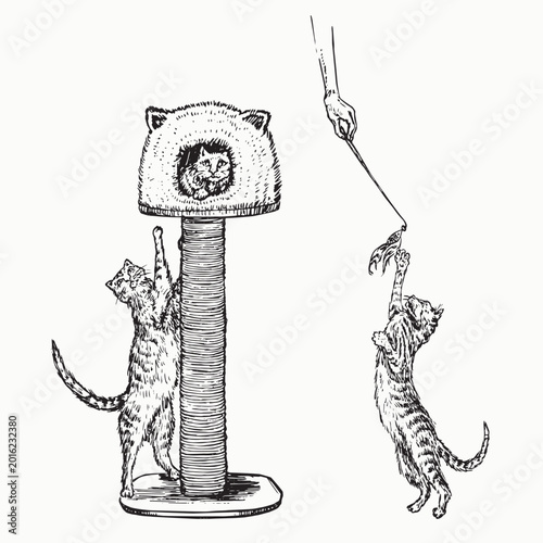 Fotografija Cat sitting in indoor cat house on the top while other one stretching and trying
