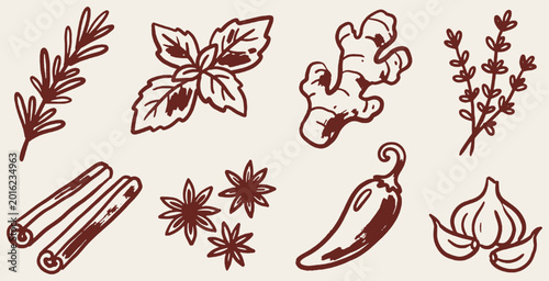 Photos A collection of hand-drawn spices and herbs, including rosemary, basil, ginger, thyme, cinnamon, star anise, chili, and garlic, perfect for culinary designs