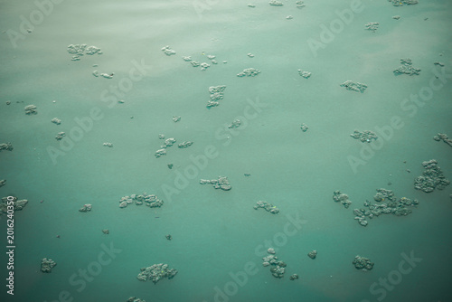Schilderij op canvas Teal Water Surface With Floating Algae Clusters And Organic Abstract Texture Pat