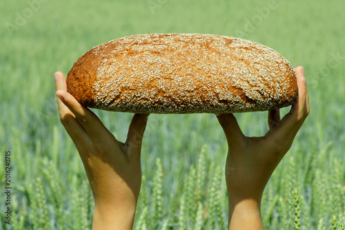 Ein Brot im Kornfeld