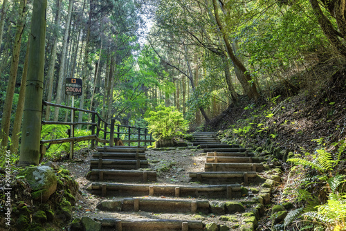 熊野磨崖仏への参道