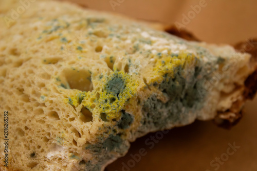 Billede på lærred Moldy bread with green and yellow fungus decaying