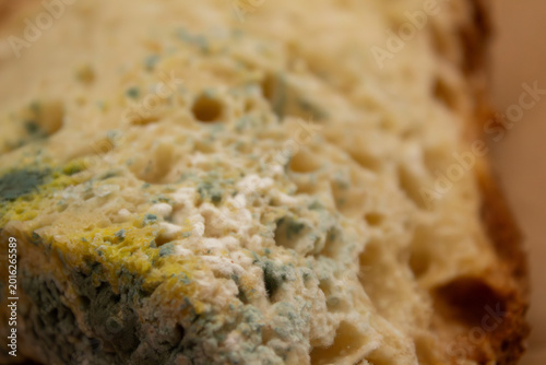 Billede på lærred Spoiled bread developing mold and fungus growth with green and white texture
