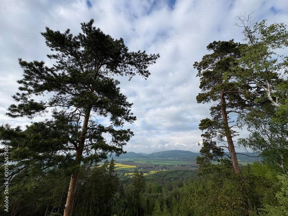 Fototapeta premium clouds over the forest