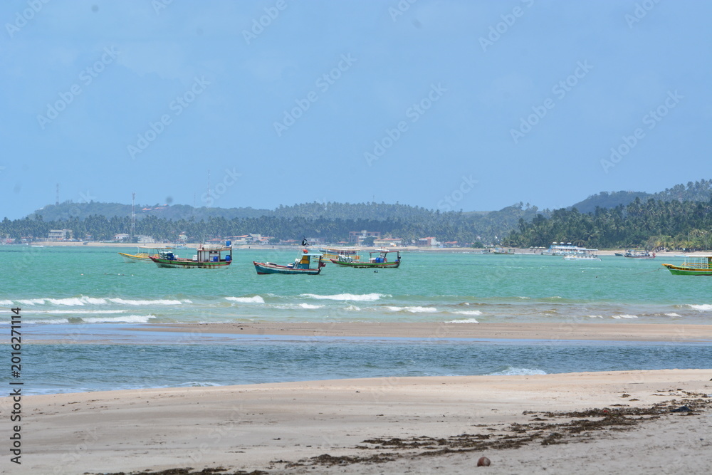 Obraz premium maragogi - alagoas
