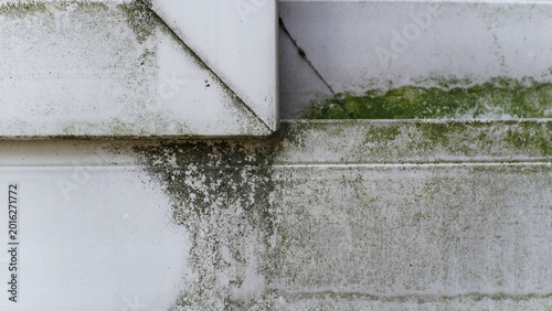Grungy White Building Surface with Green Moss and Algae Growth