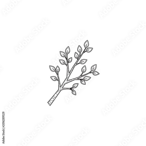 Simple line drawing of leafy branch.