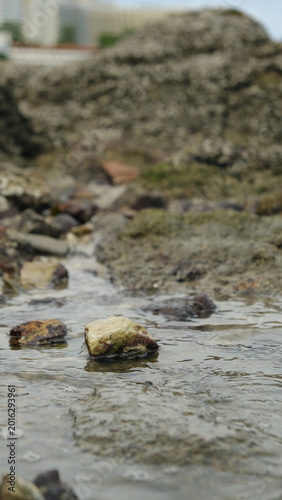 stones in water