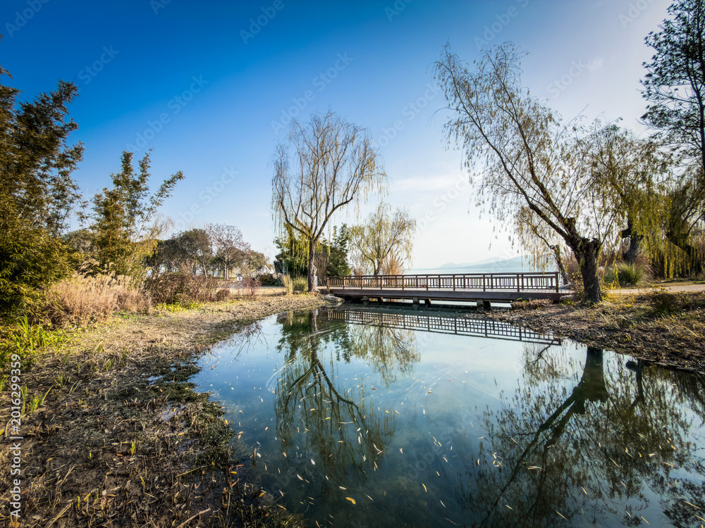 Obraz premium Tranquil Lakeside Retreat with Reflections and Lush Greenery Under Clear Blue Skies