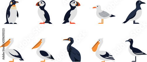 Photography Coastal seabird icon collection with penguin puffin gull pelican and water birds