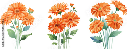 Three watercolor bouquets of bright orange gerbera daisies with green leaves on a white background
