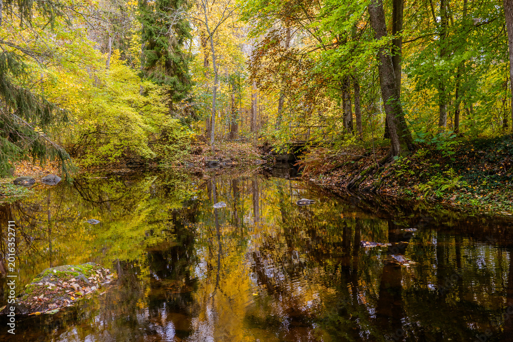 Fototapeta premium Swedish river and natural salmon area in autumn. Farnebofjarden national park in north of Sweden.