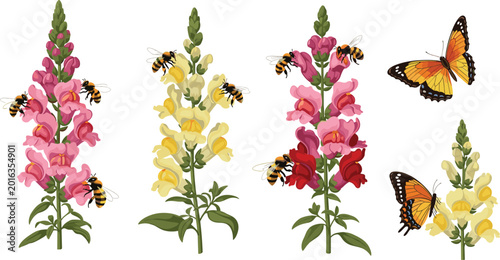 Tableau sur toile Vintage botanical vector illustration featuring pink and yellow snapdragon flowers with honey bees and monarch butterflies on white