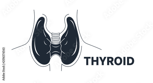 Fotografía Thyroid gland human anatomy icon illustration in minimalist flat line art style