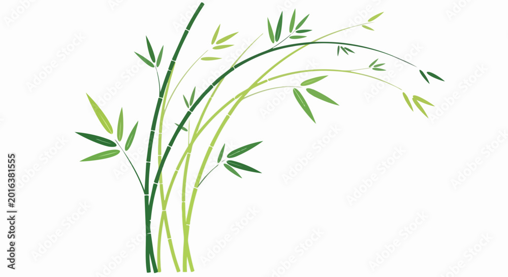 Obraz premium Minimalist bamboo plant illustration with curved leaves and green stems for nature-inspired design. editable vector illustration