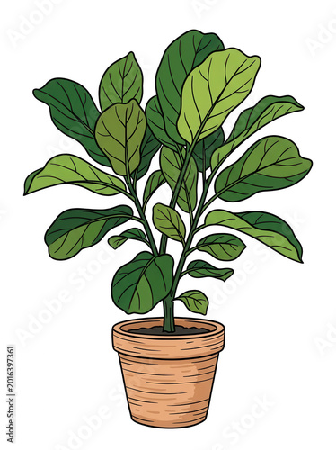 Potted plant with green leaves on transparent background
