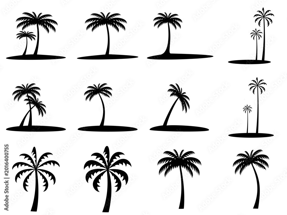 Fototapeta premium Set of coconut tree icons and palm tree silhouettes, vector