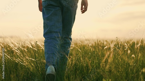 Εκτύπωση καμβά Child feet walk green grass in field