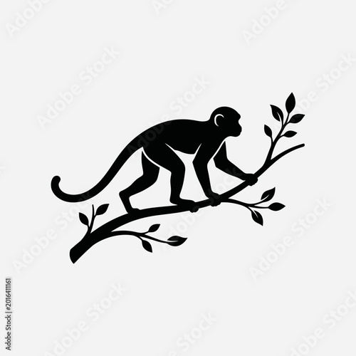 Photography A monkey silhouette on a branch.