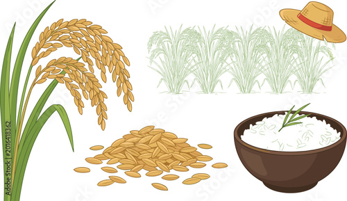 Obraz na płótnie Rice Farming and Harvest Vector Collection with Paddy Plant, Grain, Field, Farme