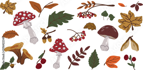 Canvastavla Autumn themed set featuring fly agaric mushrooms, boletus mushroom, chanterelle mushrooms, colorful fall leaves, berries, acorns, branches, seeds, and woodland botanical elements