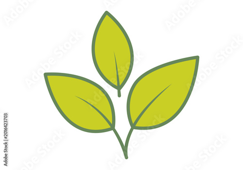 Obraz na płótnie Tres hojas verdes de una planta creciendo de un mismo tallo central