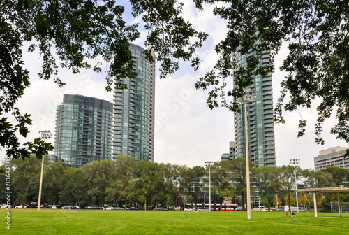 City park with trees