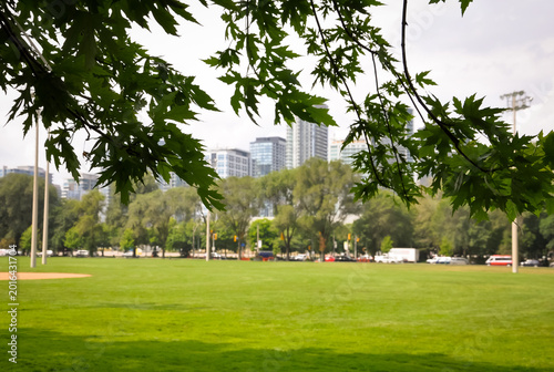 Park in the city