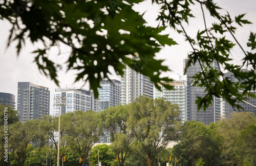 Residential skyscrapers in the city