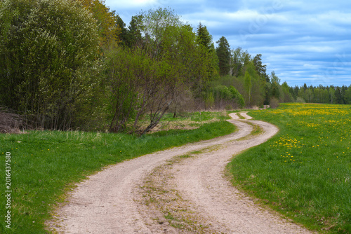 country road in the countryside