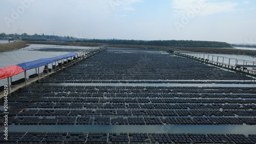 Obraz na plátne This aerial view captures a large-scale crab cultivation farm in Cox’s Bazar, Bangladesh