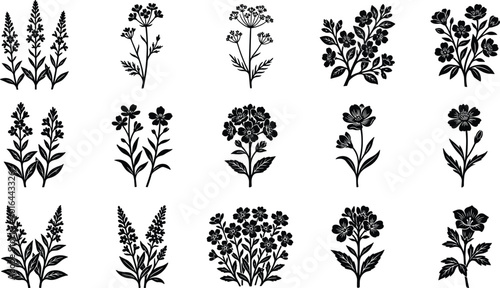 Konstfotografi Flowering plant silhouettes set, botanical nature vector, floral design collecti