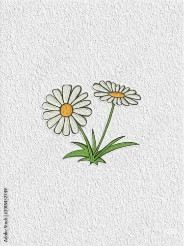 Hand drawn illustration of two white daisies with green stems and leaves on textured white background perfect for floral designs and greeting cards