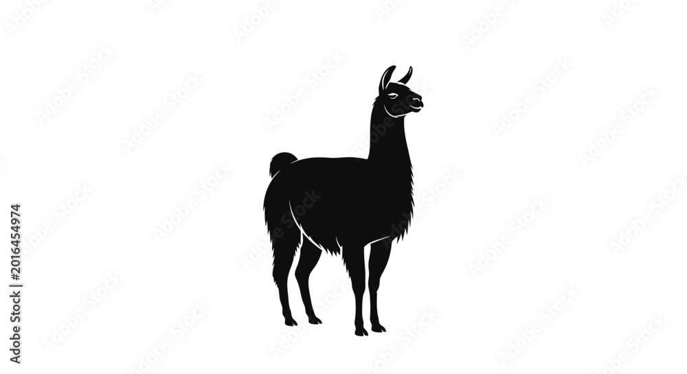 Fototapeta premium Black Silhouette of a Llama Standing Isolated on White Background, Vector Illustration