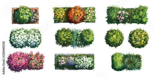 Watercolor set of top view flower beds bush,  landscape architectural map plan environmental element isolated on transparent background