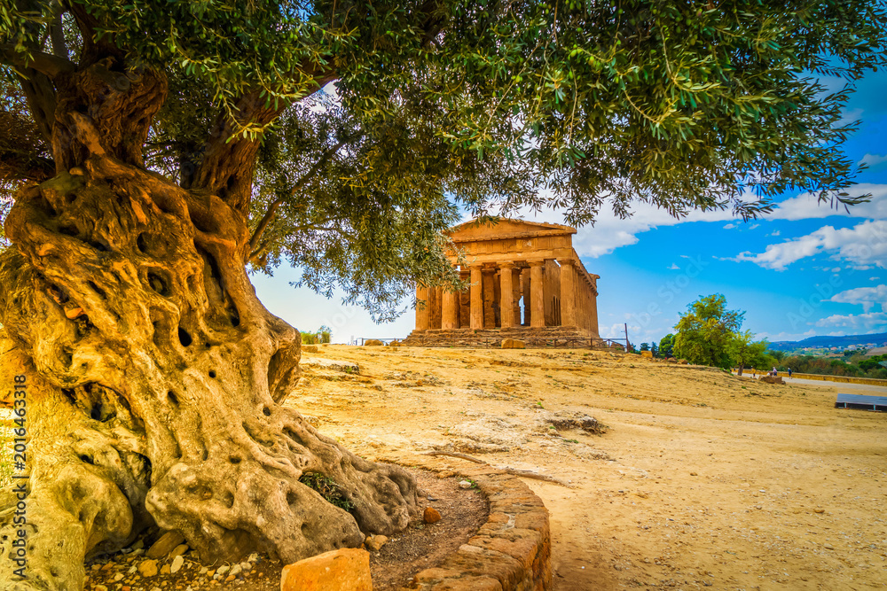 Fototapeta premium Agrigento valley with ancient greek ruins, Sicily island, Italy