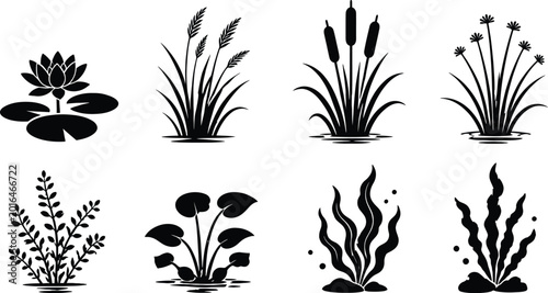 Fényképezés Aquatic plant silhouettes collection isolated on white background botanical illu