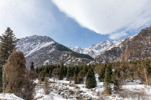 Photos Snowy peaks, pine forest and rocky riverbed in Ala Archa National Park near Bish