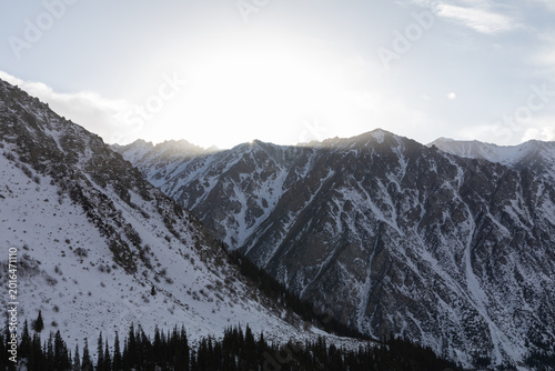 Tableau sur toile Scenic winter view of snow-covered mountains and dark conifer forest at sunrise