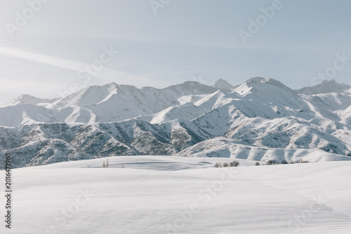 Wide panoramic view of snow covered Tian Shan mountains and rolling hills under soft winter light in Kyrgyzstan, with minimal foreground and clear sky for copy space