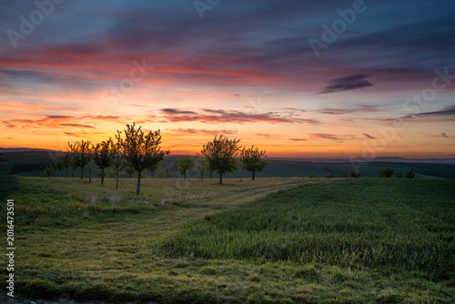 Foto Stunning sunset over a fruit orchard in Moravian Tuscany