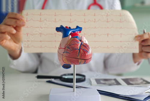 Fotografie Doctor examines a heart model alongside an ECG printout in a medical office