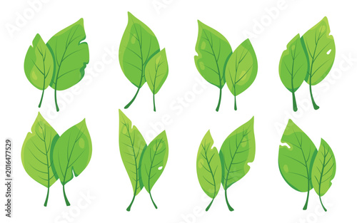 set of green lush leaves. Stylized illustrations of leaves of unique shapes. Ideal for use in eco-themed projects, wellness branding, decorative elements in packaging, greeting cards, Valentive day.