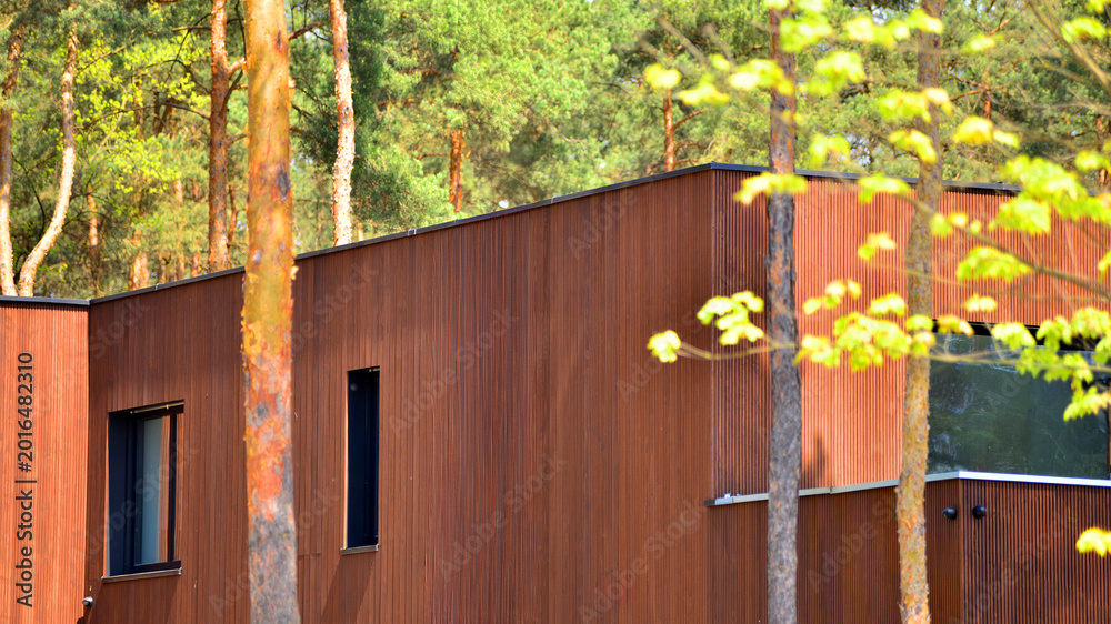 Naklejka premium Villa surrounded by trees on bright sunny day. Beautiful exterior of modern luxury home with linear design and elegant use of wood and metal. 