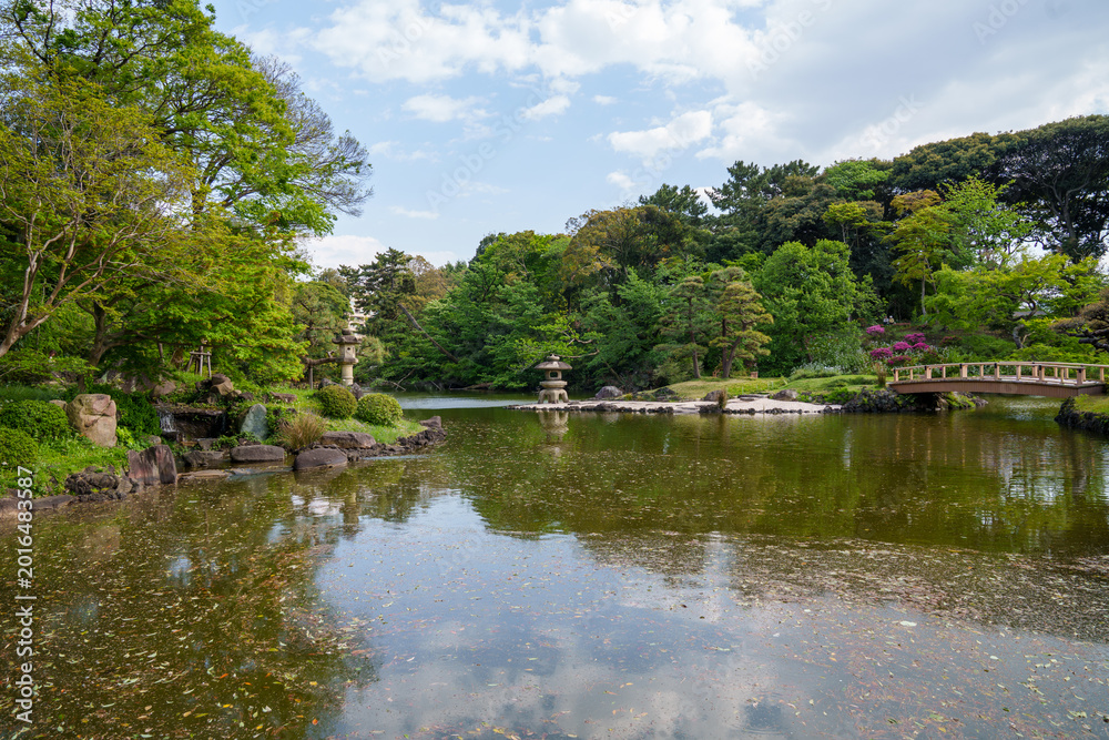 Obraz premium Tamamo Pond, tranquil scene in Shinjuku Gyoen National Garden Tokyo Japan