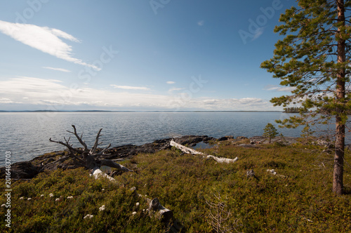 Sunny summer day on an wilderness island on the lake Inari in Lapland, Finland